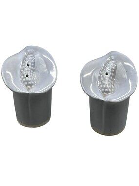 Vintage Floral Salt and Pepper Shakers Grey Bottoms Corked Height 3" READ